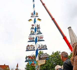 Am 1.Mai 2017 wird der neue Maibaum aufgestellt