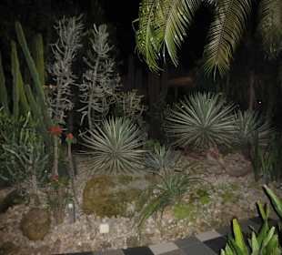 Ogród na dachu terminala