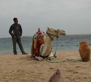 Ausflug nach Sharm el Naga