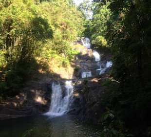 Schwimmen unter einem Wasserfall mit Odty