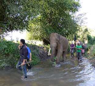 Auf dem Weg zum Waschen