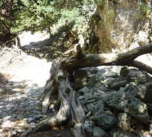 Wanderung durch die Imbros Schlucht