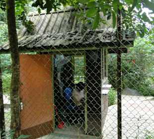 Poring Hot Springs - Schmetterlingsgarten
