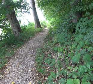 Berg Burgholz Holzelfingen
