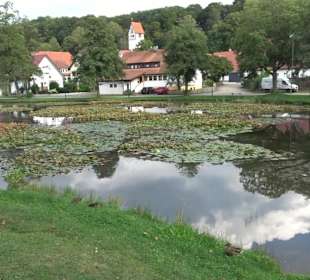 Hüle Zainingen