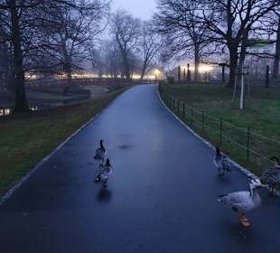 Fußweg