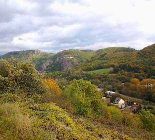 Viel Grün um die Ebernburg