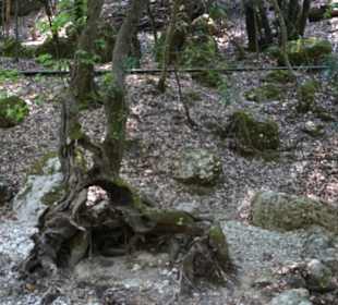 Peta Loudhes / Tal der Schmetterlinge