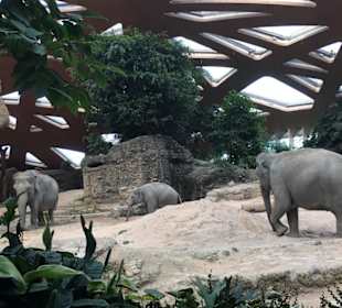 Zoo Zürich