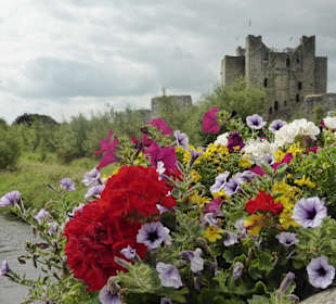 Castle in Trim und River Boyne
