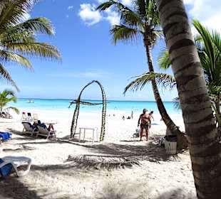 Ausflug Saona. Sehr schön