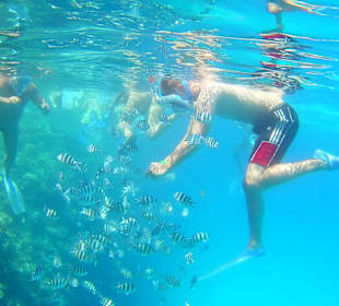 Schnorcheln
