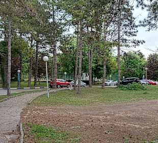 Albena 