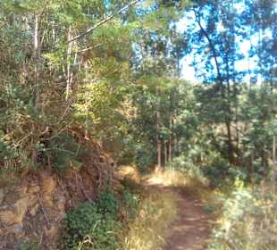 Wandern Santo da Serra