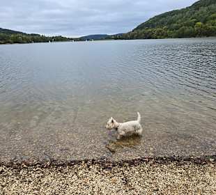 Es macht immer noch Spass