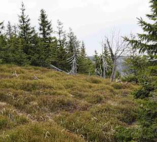 Berg Schneekoppe/Śnieżka