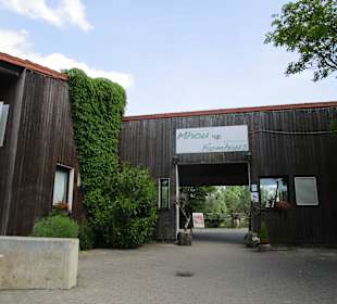 Straußenfarm Mhou Rülzheim