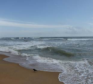 Der Strand von Kalutara