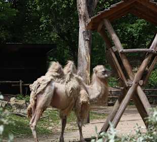 ZOOM Erlebniswelt Gelsenkirchen
