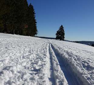 Wandern Neuhaus am Rennweg