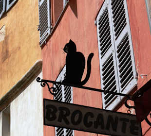 "Старый" Грасс.