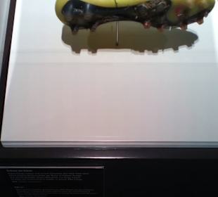 Deutsches Fußballmuseum