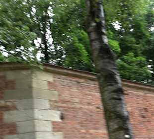 Baumlehrpfad Glacis Park