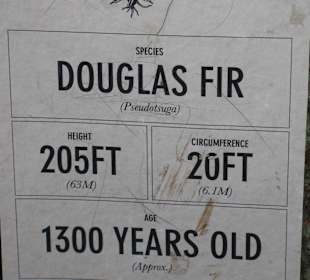 Capilano Suspension Bridge and Park