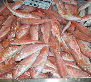 Die Fischverkaufshalle im Hafen von Alghero