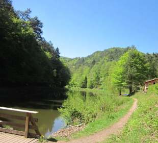 Am Paddelweiher in Hauenstein