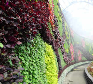 Stadtrundgang Sydney