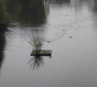 Parkanlage Planten un Blomen