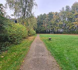 Untere Allerniederung bei Boye 