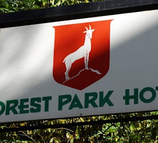 Hotel Forest