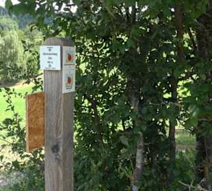 Wanderweg Ammerbucher Gigeleswegle