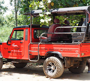 Auto im Nationalpark Wilpattu