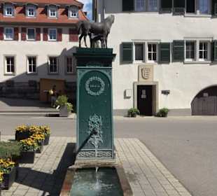 Haupt- und Landgestüt Marbach