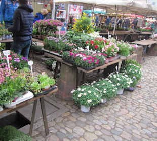 Altstadt Freiburg Markt am Münster