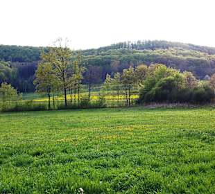 Ende April am Stausee Gegend