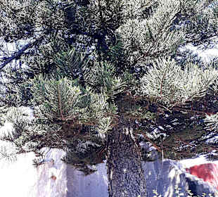 Santa Catalina Kloster