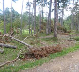 Wandern Oberbozen nach Maria Saal