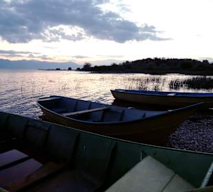 Jezioro Szkoderskie, Albania
