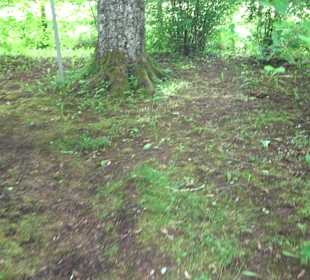 Gebetsgarten Heiligenbronn