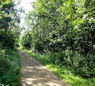Auf dem Rundweg um den Dammer Bergsee