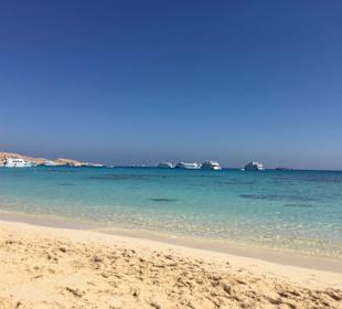 Giftun Island ist immer einen Besuch wert.