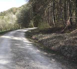 Wanderweg Hochgehkämpft