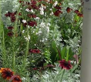 Platz am Kriegerdenkmal Auingen