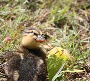 ZOOM Erlebniswelt Gelsenkirchen