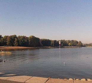 Bootsanlegesteg Tragflügelboote Peterhof