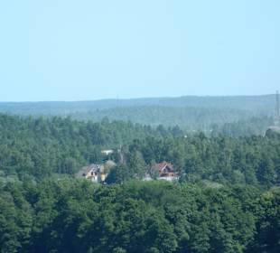 Wyborg